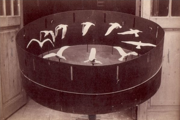 Murey zoetrope