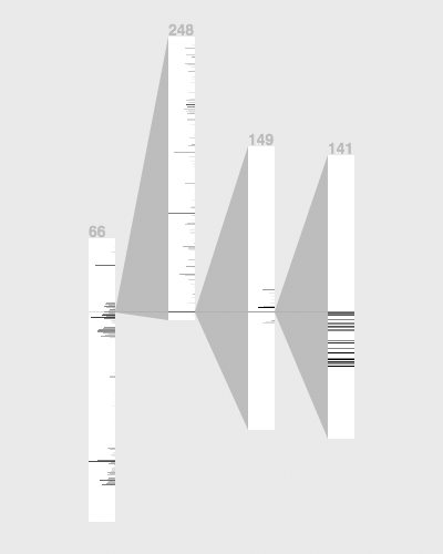 Picture of the NetMap depicting activity on the IP 66.248.149.141